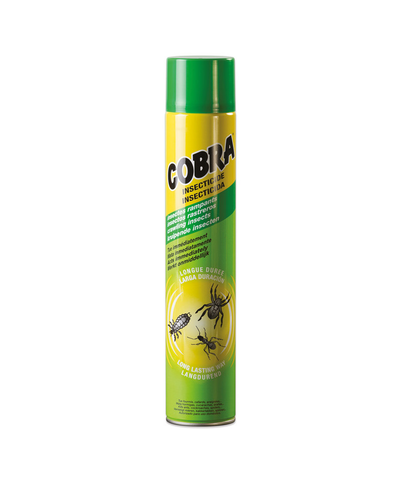 INSECTICIDE RAMPANT AÉROSOL - 750 ml
