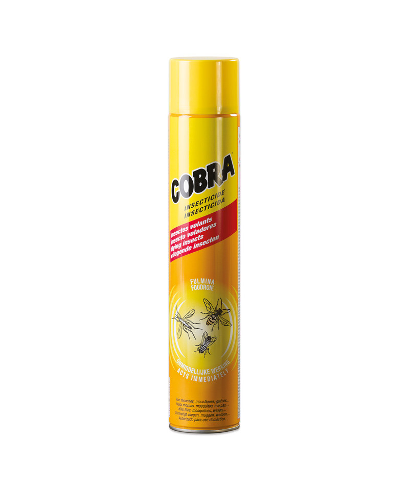 INSECTICIDE VOLANT AÉROSOL - 750 ml